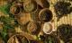 Herbal Remedies For Cancer